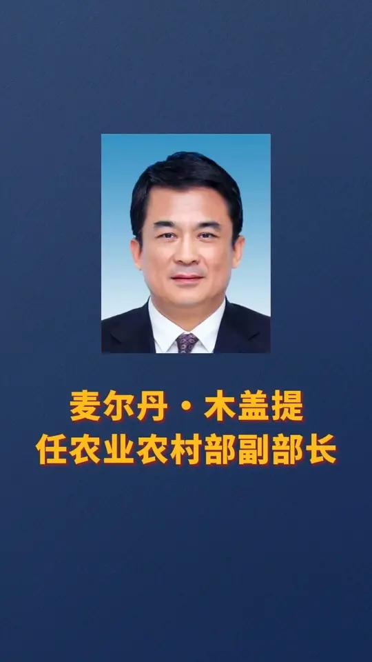 麦尔丹·木盖提任农业农村部副部长