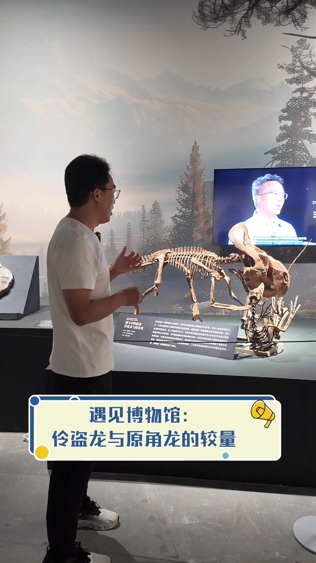 遇见博物馆:伶盗龙与原角龙的较量