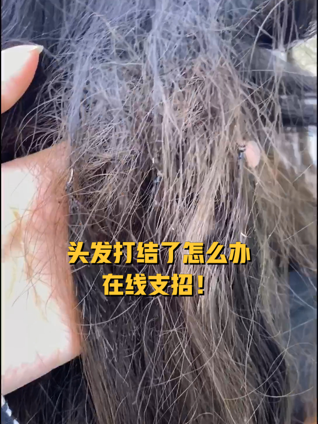 头发打结了怎么办?在线支招南宁接发