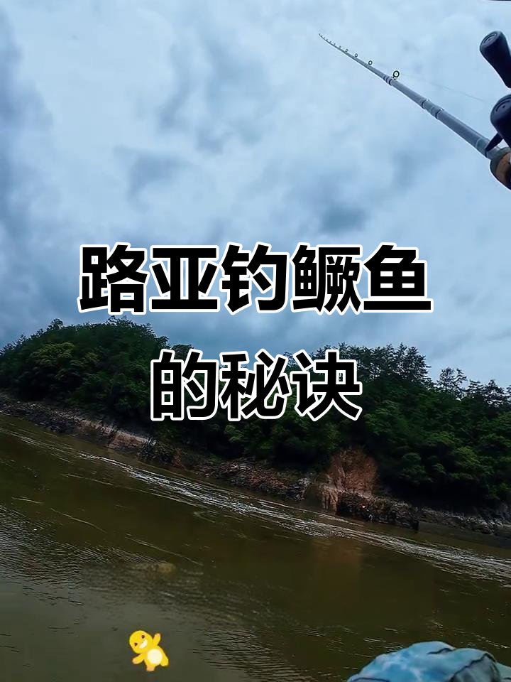 路亚钓桂鱼要钓底吗(路亚钓桂鱼要配铅吗)