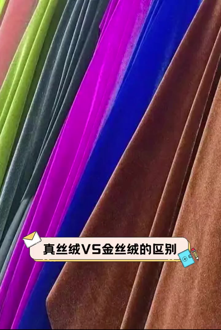 真丝绒vs金丝绒的区别