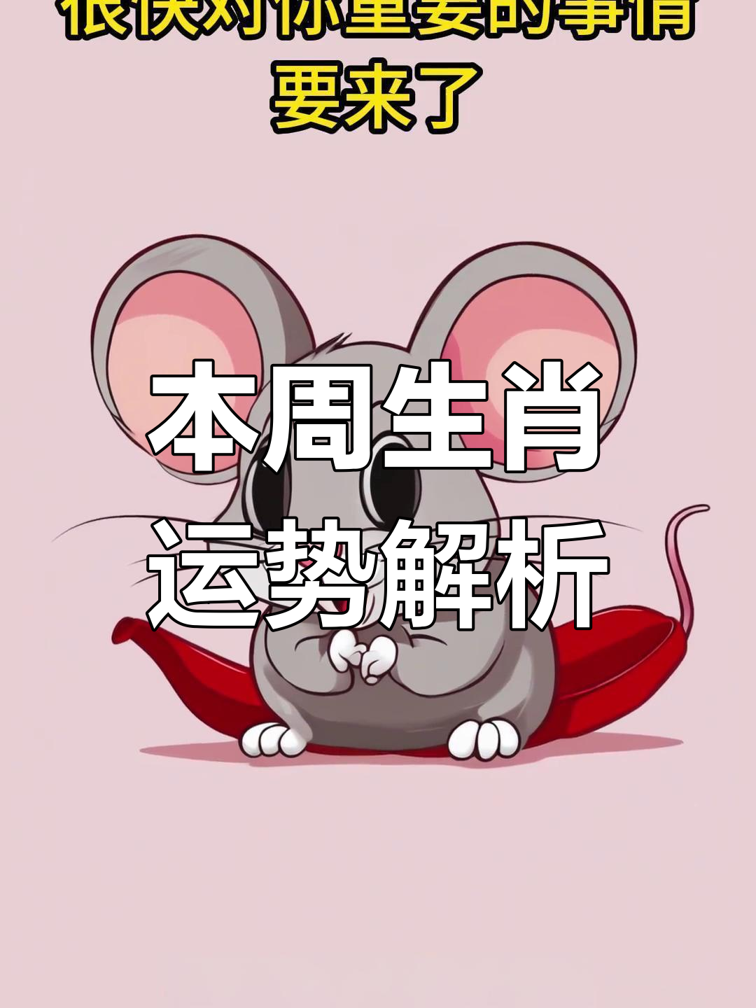 本周鼠生肖运势运程(生肖鼠新的一周运势)