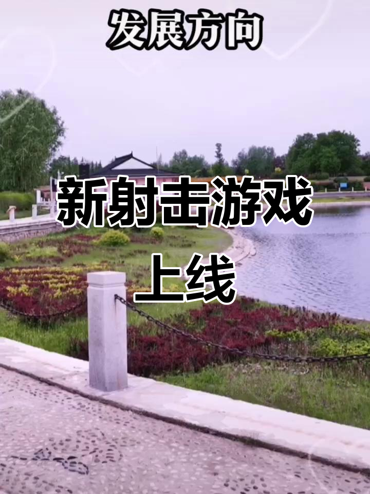 关于国产枪击游戏推荐的信息
