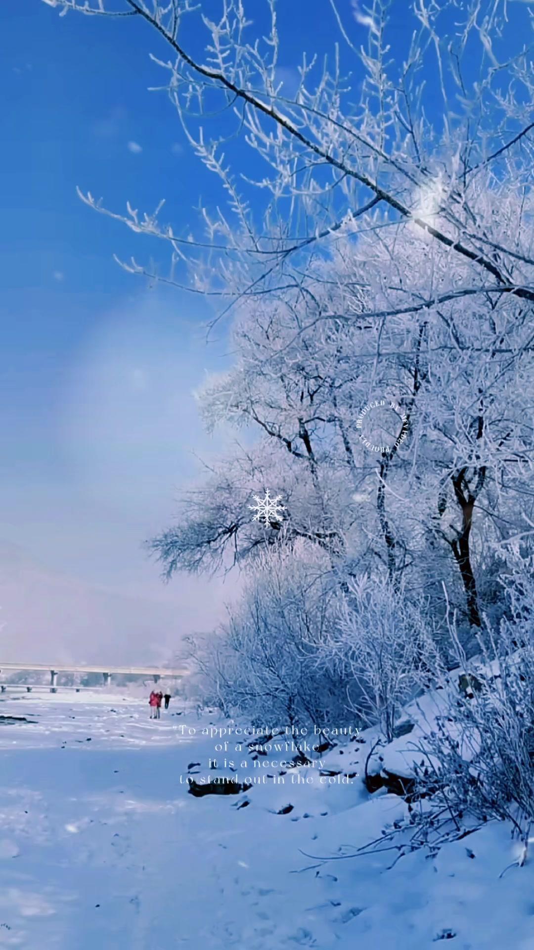 大雪纷飞瑞雪兆丰年图片