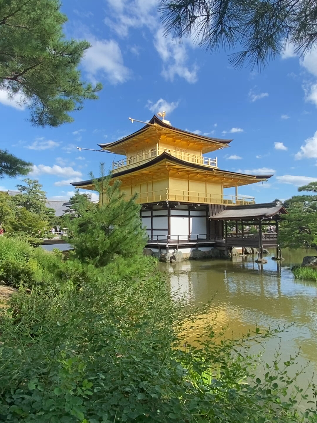 光彩夺目的金阁寺