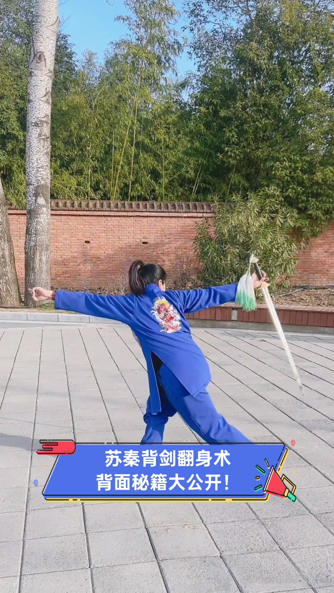 苏秦背剑翻身术,背面秘籍大公开!