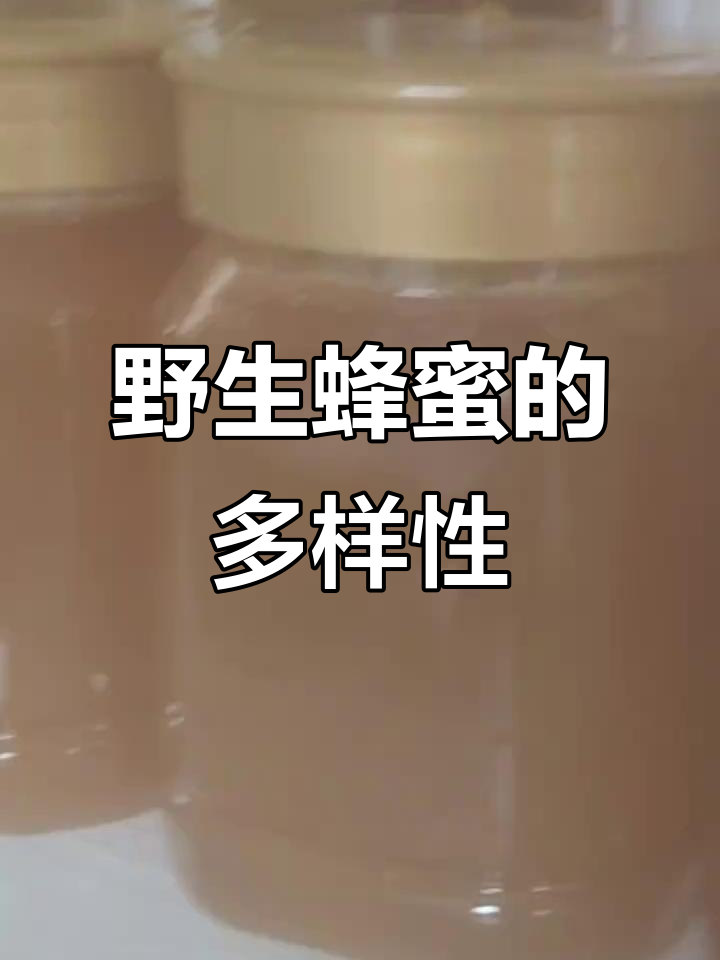 梦见好多野生蜂蜜和蜂蜜(梦见野生蜂蜜是什么寓意)