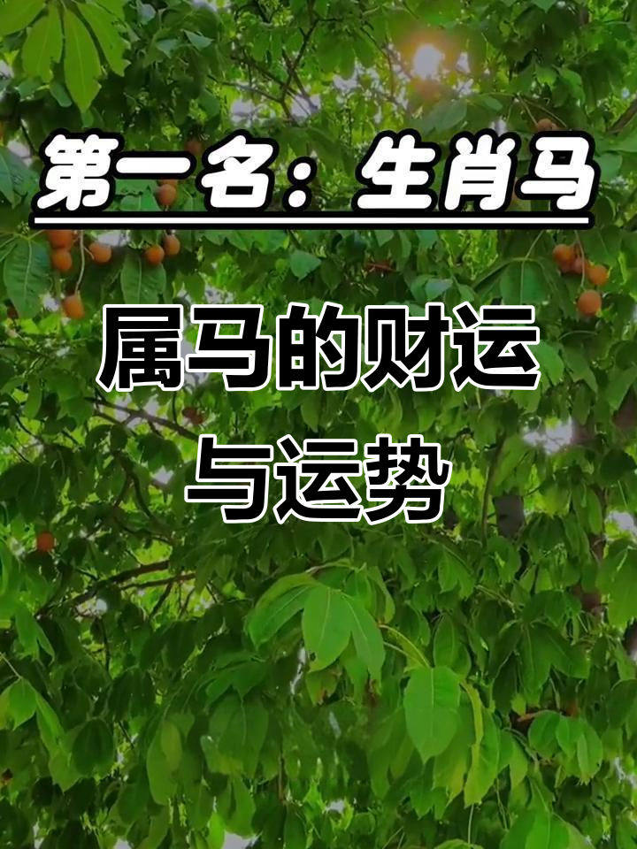 属马2025生肖运势(属马人2025年运势及运程每月运程)