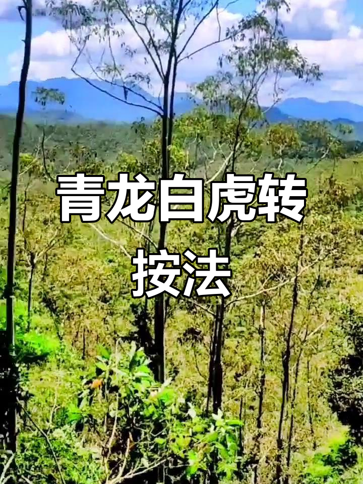 左手青龙,右手白虎:如何通过转按提升勇气