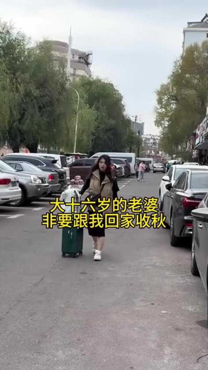 这老婆真好 啥都会,贤妻