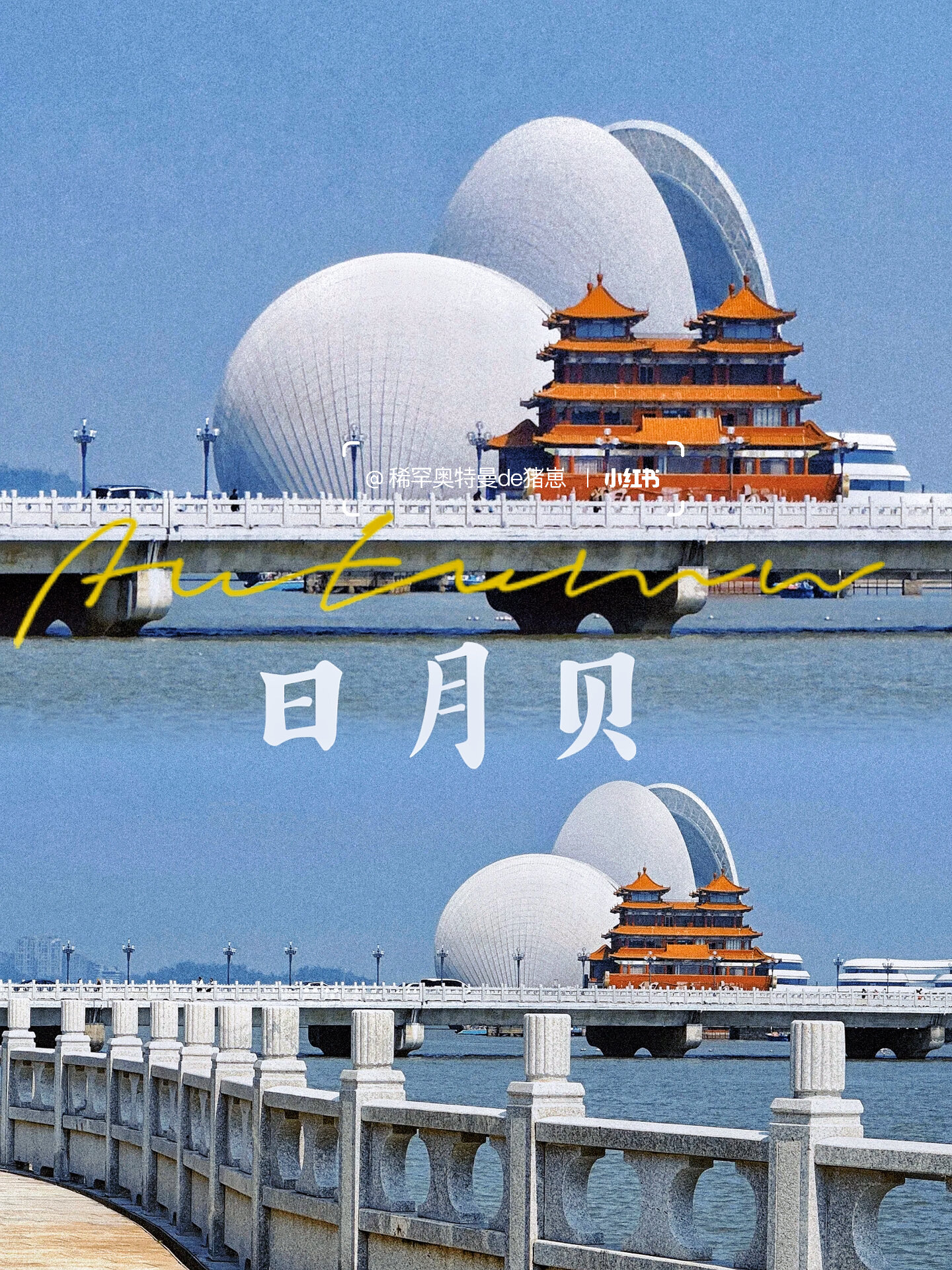 珠海|发现宝藏打卡地日月贝 城市阳台