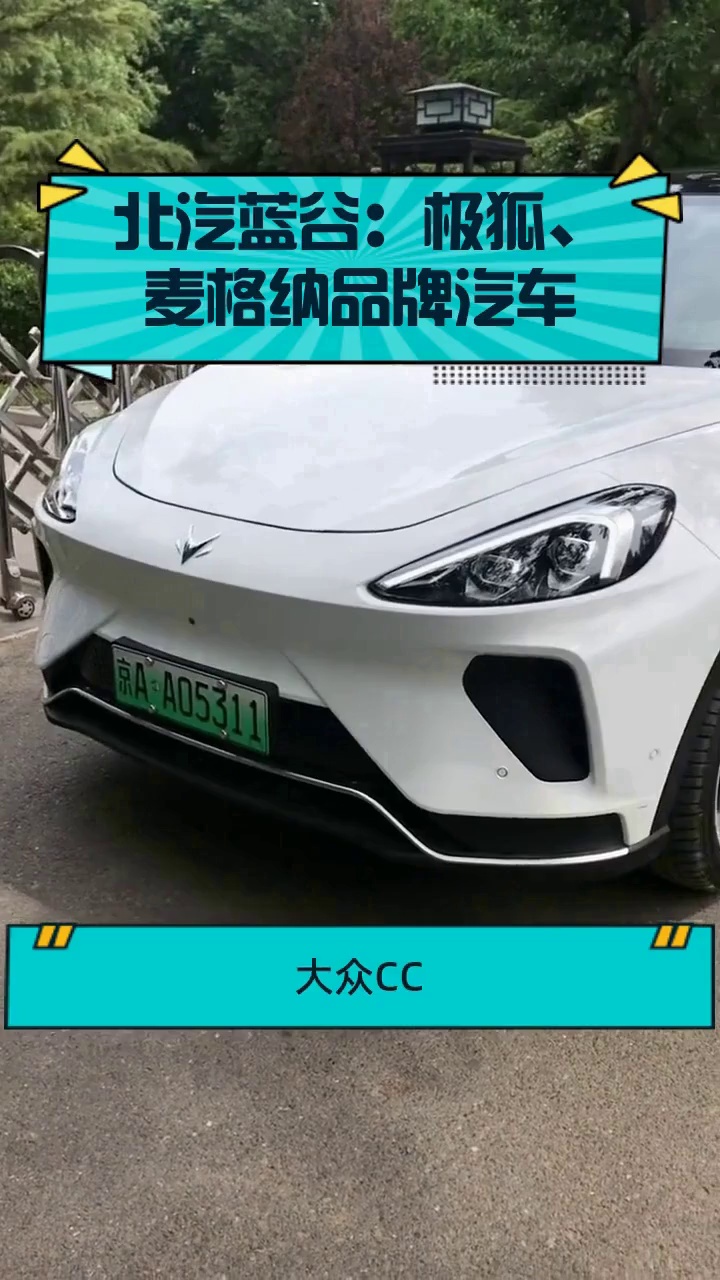 北汽蓝谷:极狐,麦格纳品牌汽车