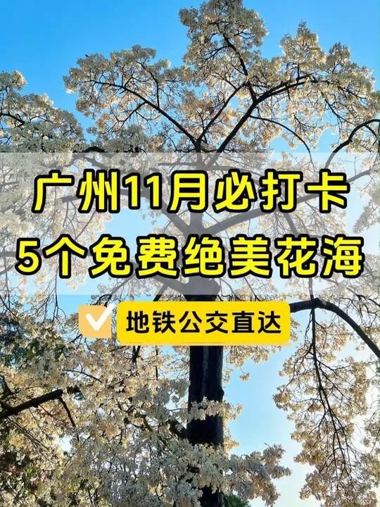 广州统一预约挂号网(广州统一预约挂号网站)