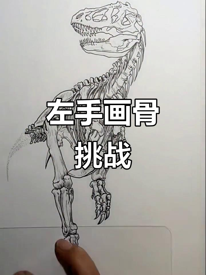 左手手绘挑战:从恐龙到骨骼,细节决定成败
