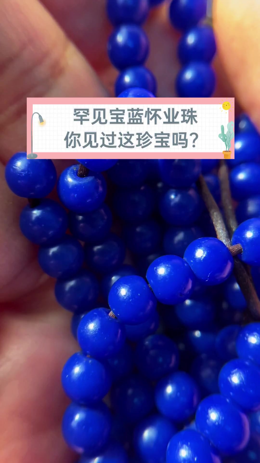 宝珠百度百科(宝珠图片)