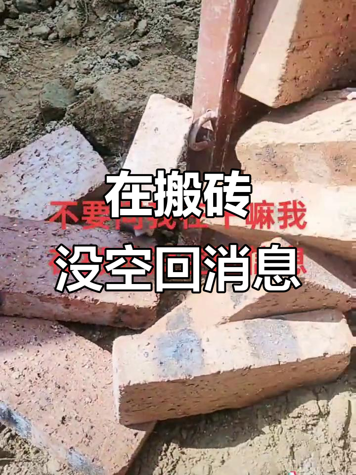 搬砖太忙,没时间回复信息,有事留言吧!