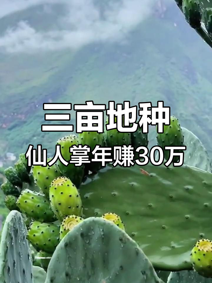 种植药材亩利润三十万(种植药材一亩国家补助多少)