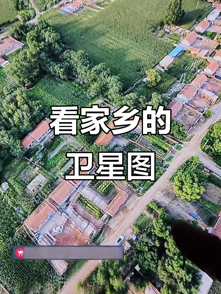 能看到人和房子的卫星地图免费 - 能看到人和房子的卫星地图免费网页版