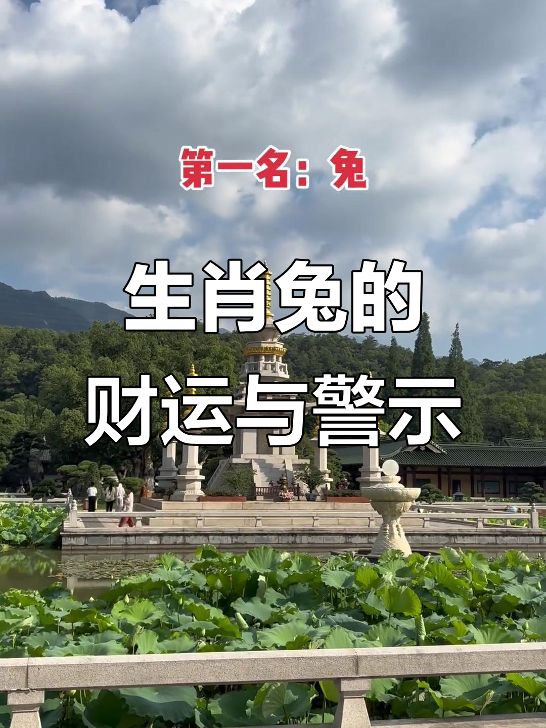 生肖兔的运势大揭秘(生肖兔运势解密)