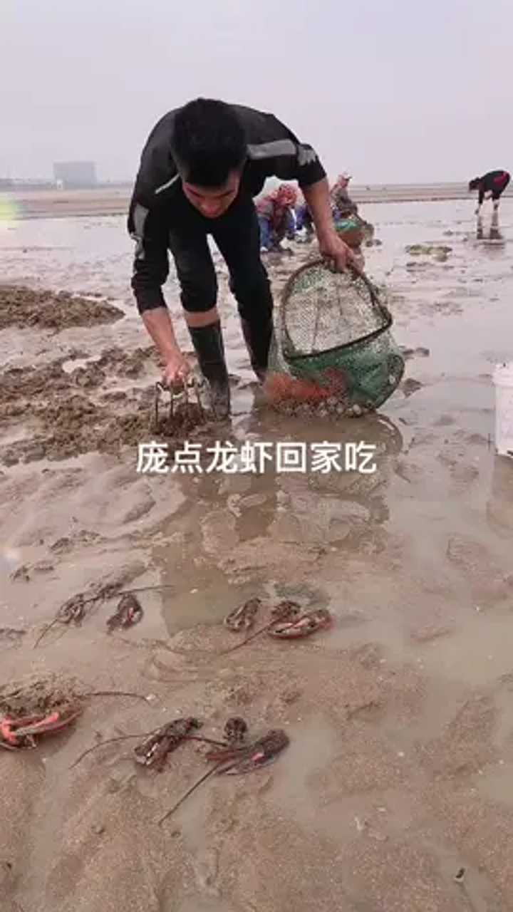 阿梅赶海图片