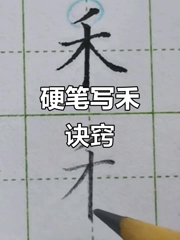 硬笔书法:禾字写法全解析,轻松掌握技巧