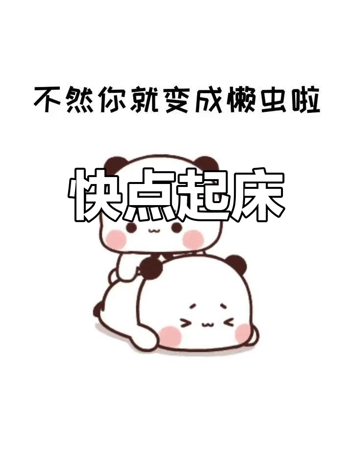 小懒猪,快起床!