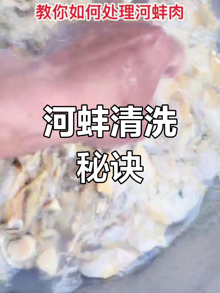 河蚌处理有诀窍,盐面粉洗净粘液,鲜美口感轻松拥有!