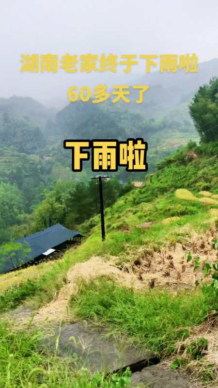60多天没下雨了,今天终于等到这甘露,你那里下雨了吗!