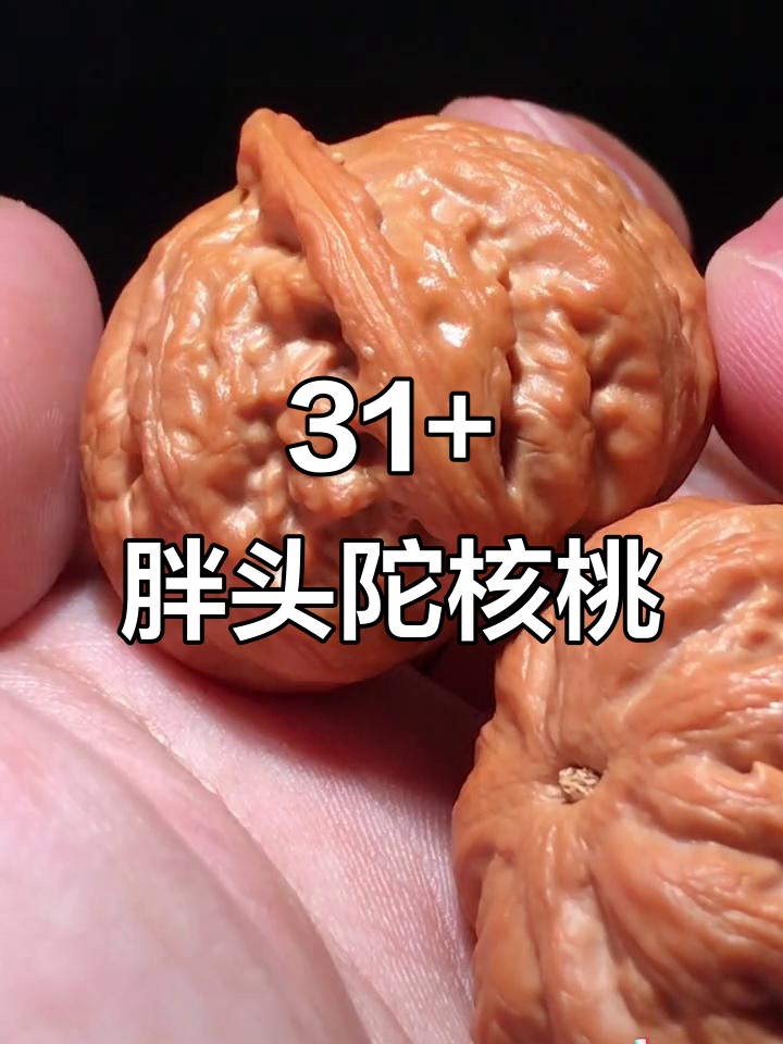 胖头陀核桃:楸核水晶皮质,文玩界天花板