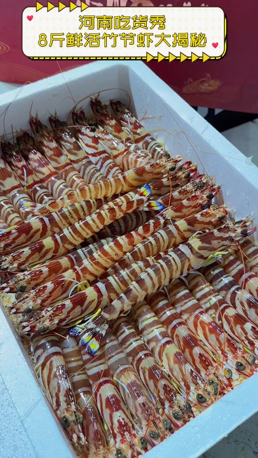 河南吃货秀,8斤鲜活竹节虾大揭秘