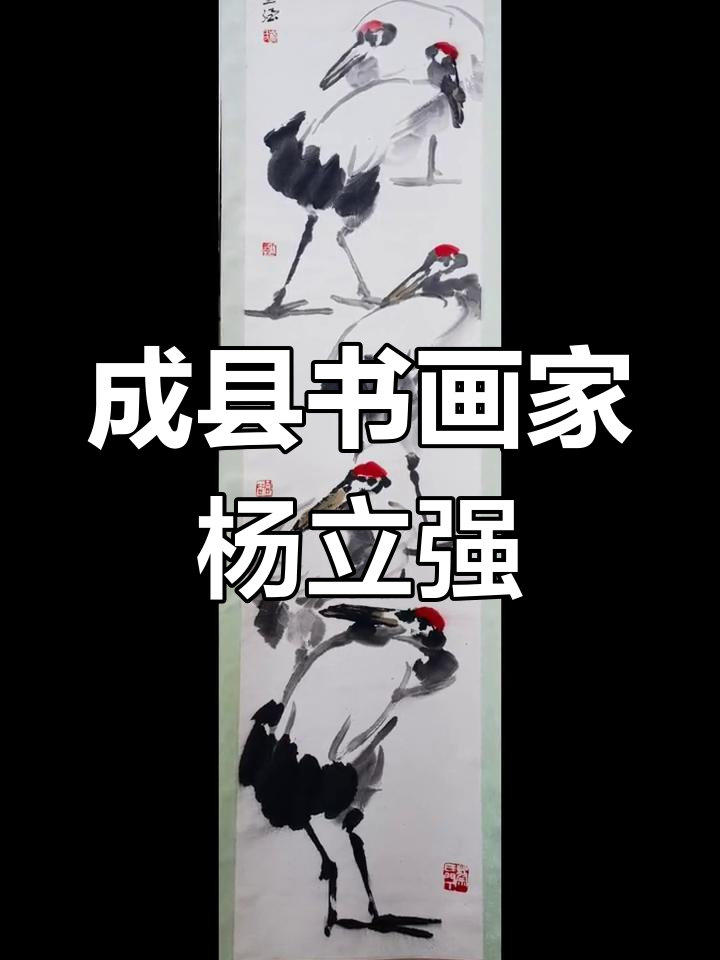 甘肃陇南成县书画名家杨立强:国画收藏与艺术传承