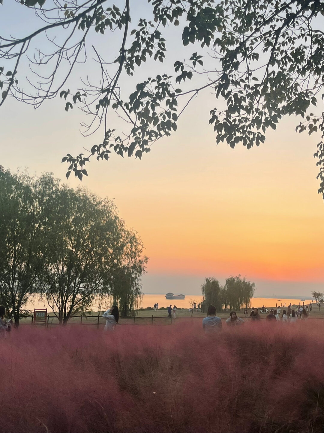 荆州临江仙滨江公园