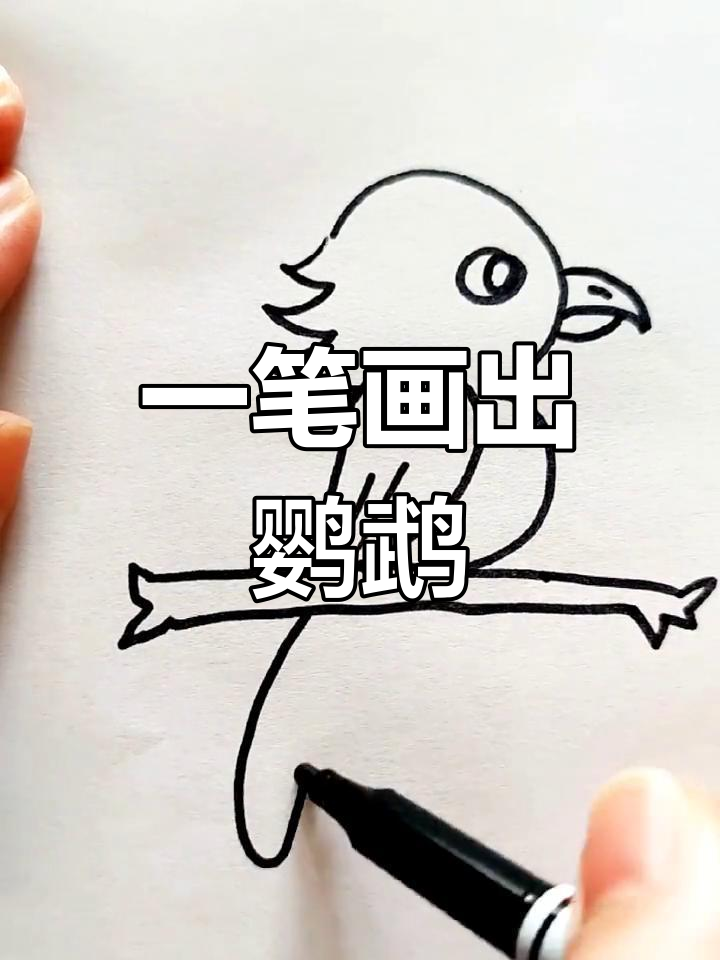 鹦鹉简单画法图片