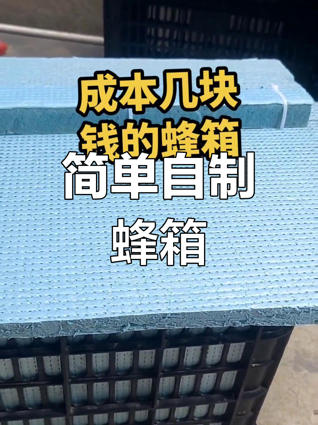 自制蜂箱教程,轻松打造适合新手的低成本蜂巢