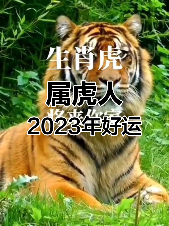 生肖虎明天的运势(生肖虎明天的运势如何)