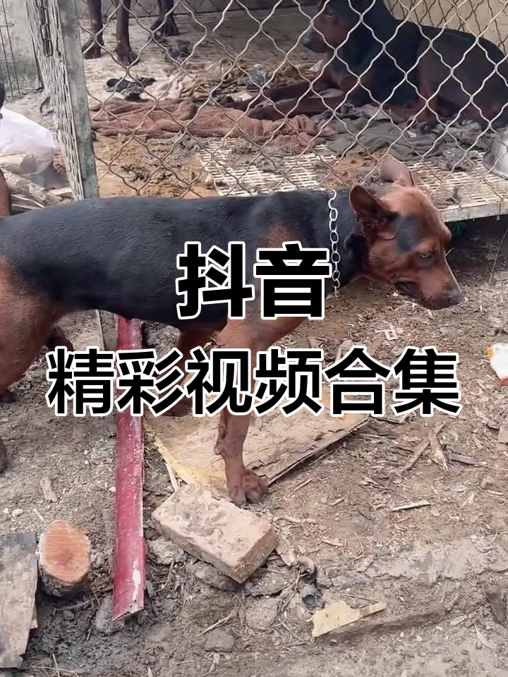 抖音kb视频=抖音视频多少kb