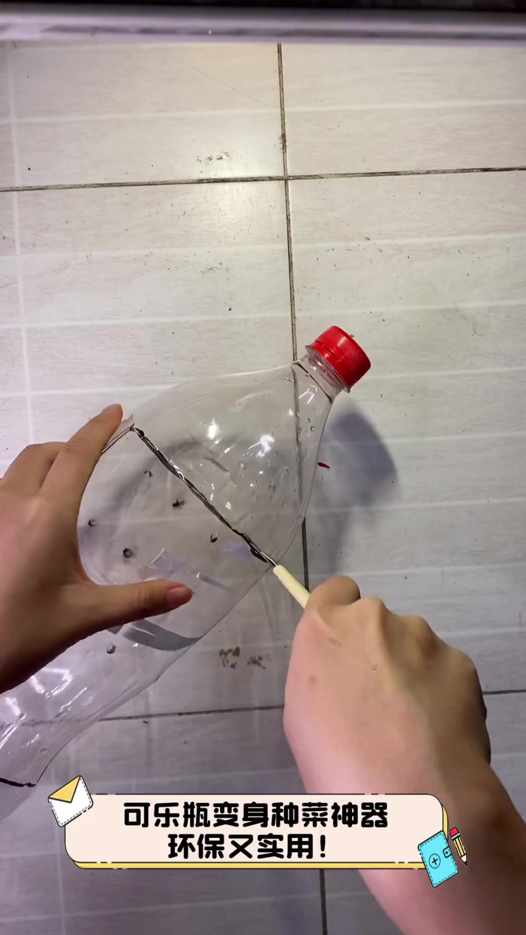 可乐瓶变身种菜神器,环保又实用!