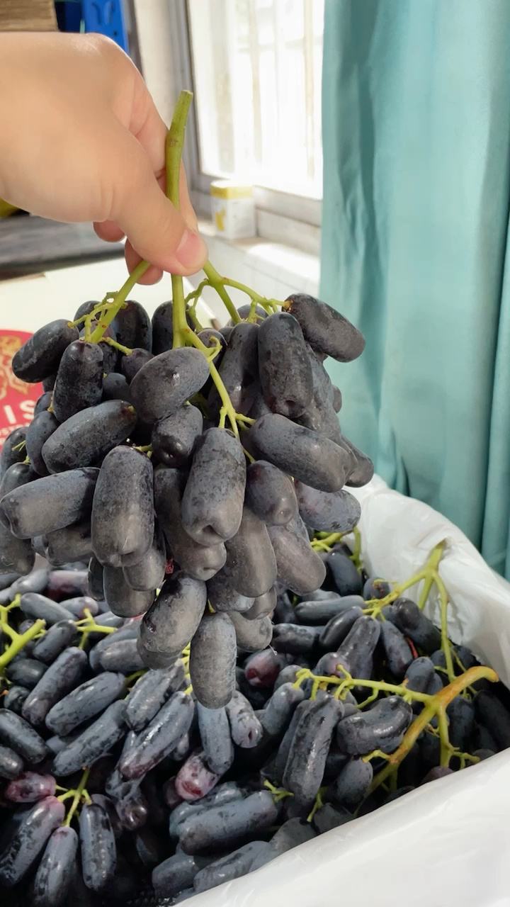 澳洲美人指黑提到货啦超级新鲜