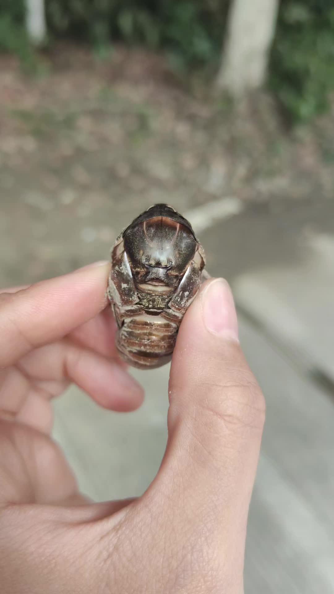 看我发现了啥?