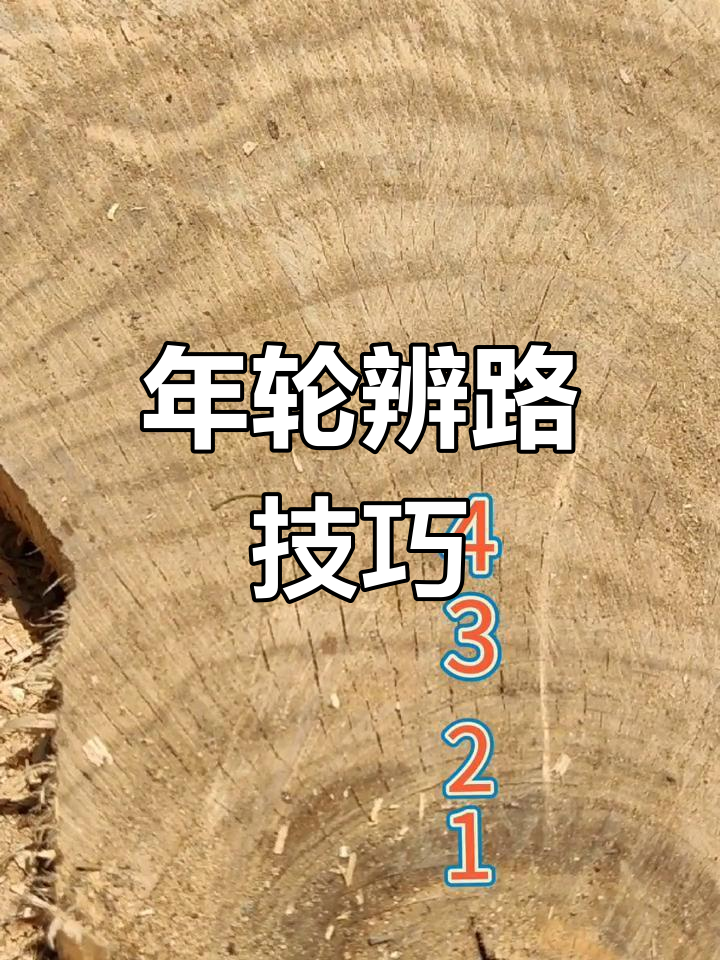 树的年轮怎么辨别方向图片