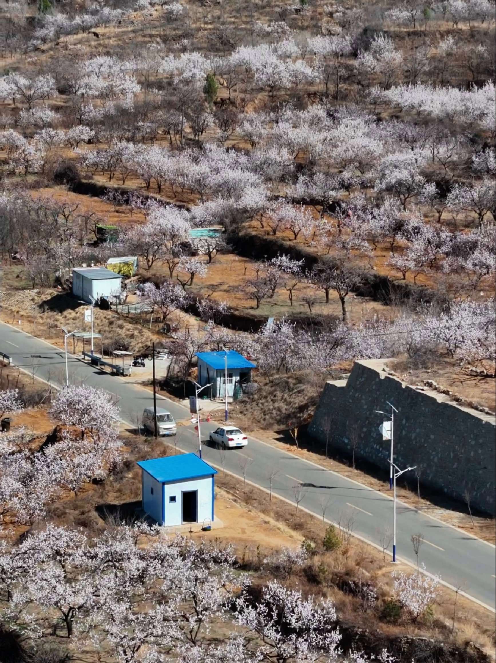 梁家庄 治愈系风景 旅行推荐官 这么近那么美