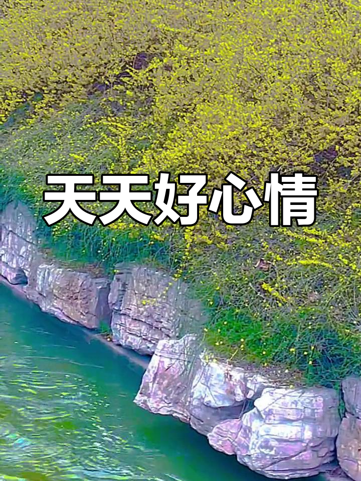 春风送暖,心情美美哒!愿美好与你相伴每一天