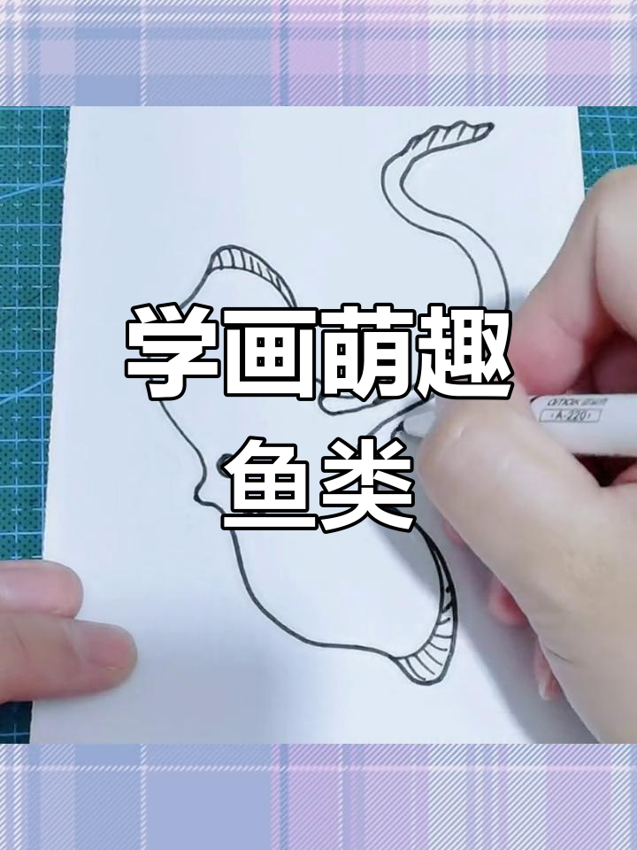 每天学画一种鱼,轻松掌握创意简笔画