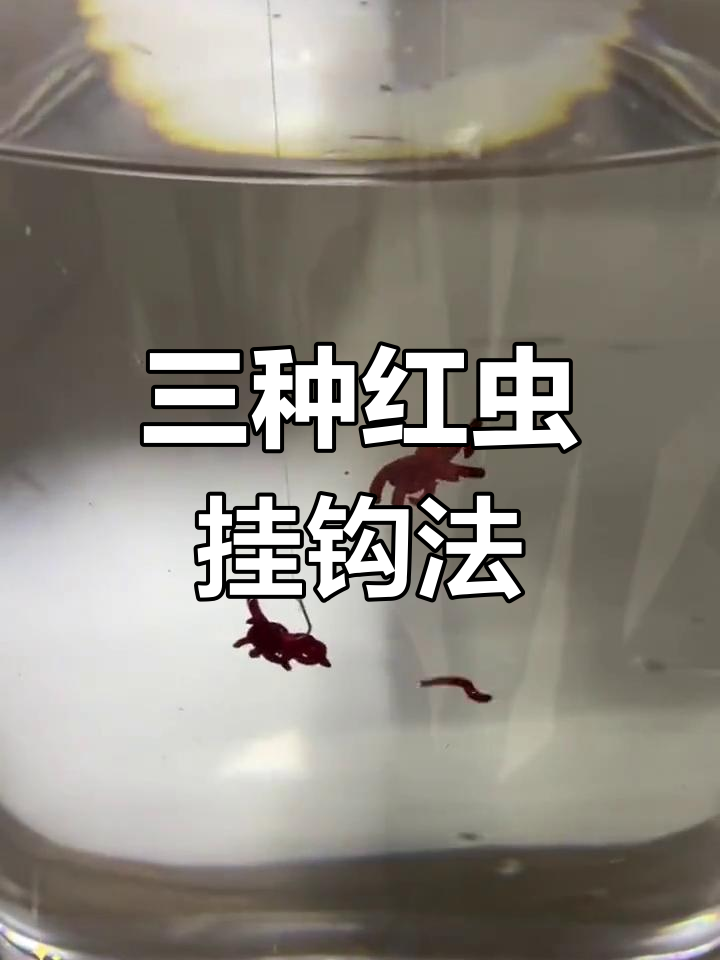 红虫挂钩技巧图片