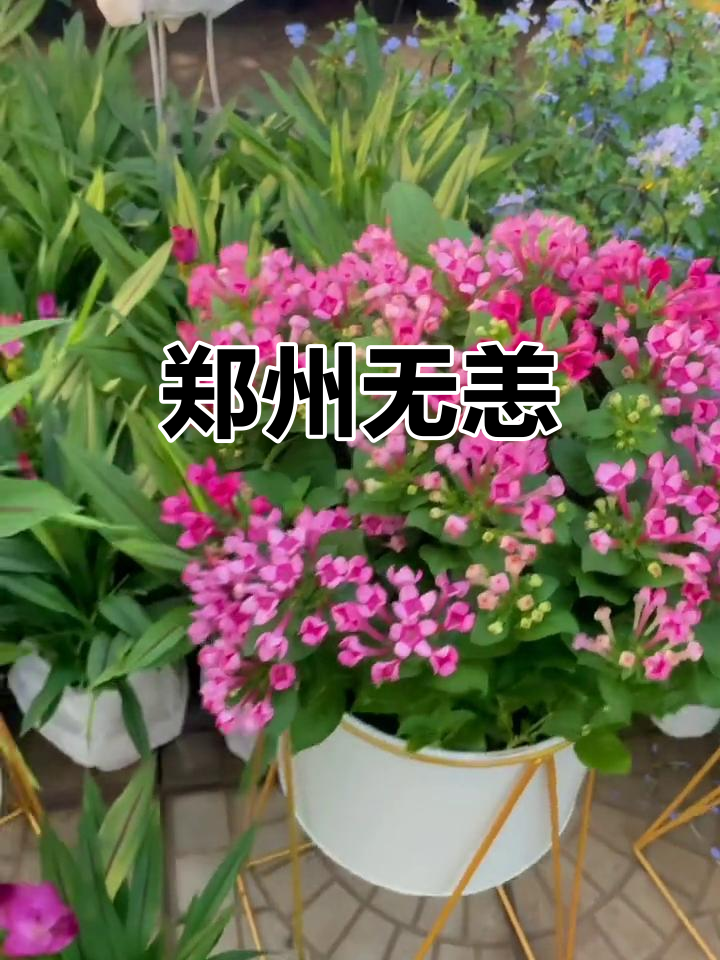 河南暴雨无情,郑州平安祈愿