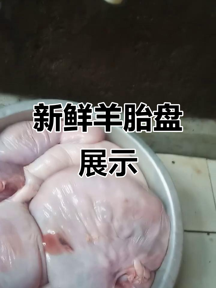 新鲜羊胎盘大揭秘,像伞一样的神奇玩具