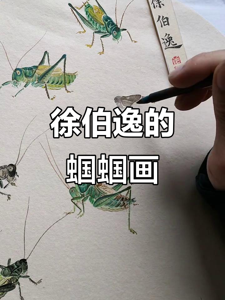 徐伯逸草虫画:轻描淡写绘蝈蝈,栩栩如生