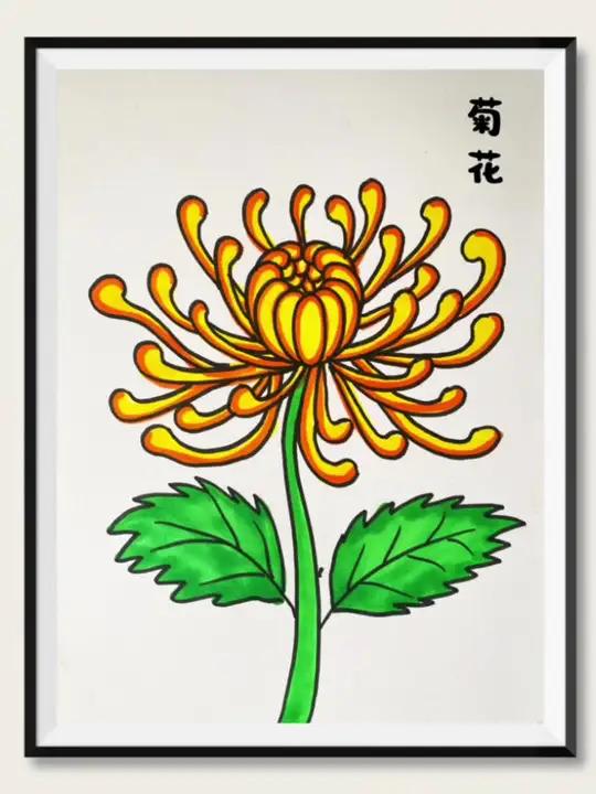 《菊花》简笔画 重阳节主题画,待到重阳日,还来就菊花 儿童画 少儿