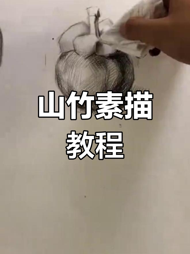 山竹素描 步骤图片