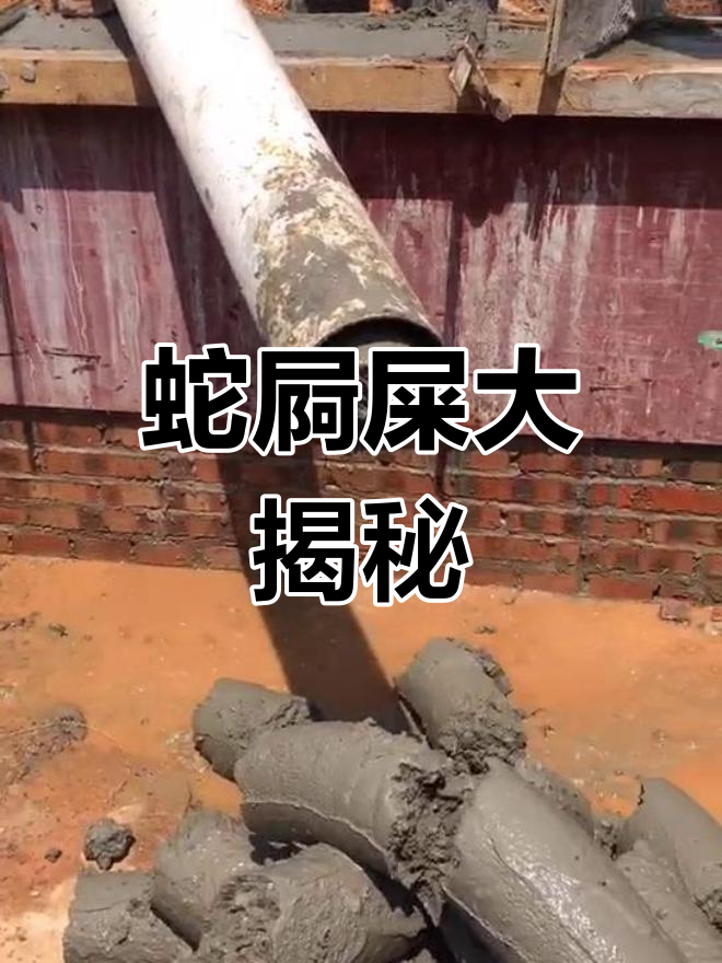 大蛇竟然拉屎了!